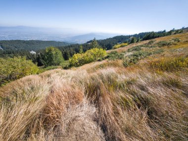 Bulgaristan 'ın Vitosha Dağı' nın şaşırtıcı sonbahar manzarası