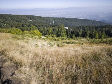 Bulgaristan 'ın Vitosha Dağı' nın şaşırtıcı sonbahar manzarası