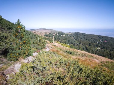 Bulgaristan 'ın Vitosha Dağı' nın şaşırtıcı sonbahar manzarası