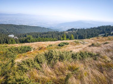 Bulgaristan 'ın Vitosha Dağı' nın şaşırtıcı sonbahar manzarası