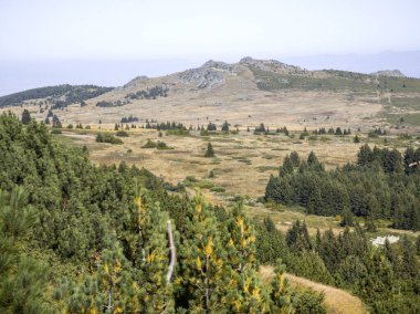 Bulgaristan 'ın Vitosha Dağı' nın şaşırtıcı sonbahar manzarası