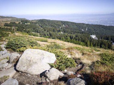 Bulgaristan 'ın Vitosha Dağı' nın şaşırtıcı sonbahar manzarası
