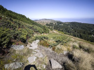 Bulgaristan 'ın Vitosha Dağı' nın şaşırtıcı sonbahar manzarası