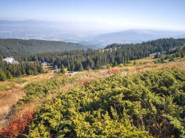 Bulgaristan 'ın Vitosha Dağı' nın şaşırtıcı sonbahar manzarası