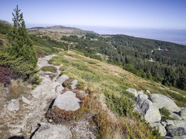Bulgaristan 'ın Vitosha Dağı' nın şaşırtıcı sonbahar manzarası
