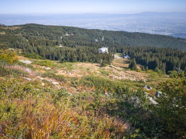 Bulgaristan 'ın Vitosha Dağı' nın şaşırtıcı sonbahar manzarası