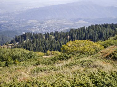 Bulgaristan 'ın Vitosha Dağı' nın şaşırtıcı sonbahar manzarası
