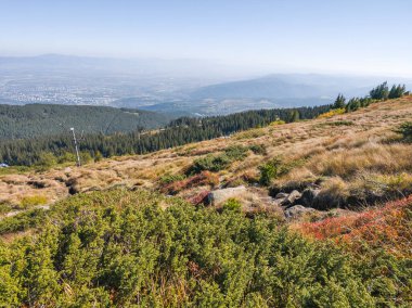 Bulgaristan 'ın Vitosha Dağı' nın şaşırtıcı sonbahar manzarası