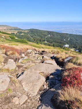 Bulgaristan 'ın Vitosha Dağı' nın şaşırtıcı sonbahar manzarası