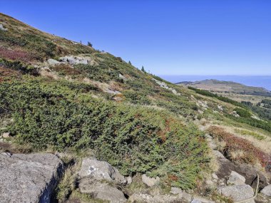 Bulgaristan 'ın Vitosha Dağı' nın şaşırtıcı sonbahar manzarası
