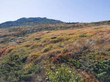 Bulgaristan 'ın Vitosha Dağı' nın şaşırtıcı sonbahar manzarası