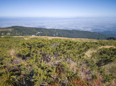 Bulgaristan 'ın Vitosha Dağı' nın şaşırtıcı sonbahar manzarası