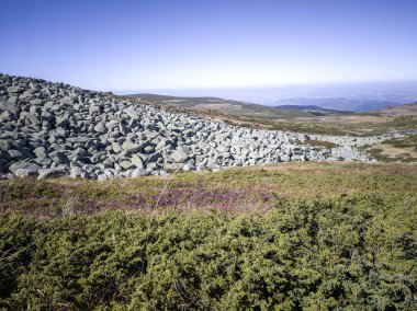 Bulgaristan 'ın Vitosha Dağı' nın şaşırtıcı sonbahar manzarası