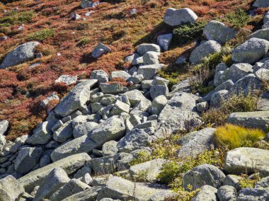 Bulgaristan 'ın Vitosha Dağı' nın şaşırtıcı sonbahar manzarası