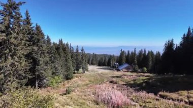 Bulgaristan 'ın Vitosha Dağı' nın şaşırtıcı sonbahar manzarası