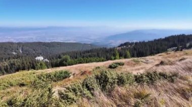 Bulgaristan 'ın Vitosha Dağı' nın şaşırtıcı sonbahar manzarası