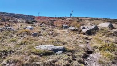 Bulgaristan 'ın Vitosha Dağı' nın şaşırtıcı sonbahar manzarası