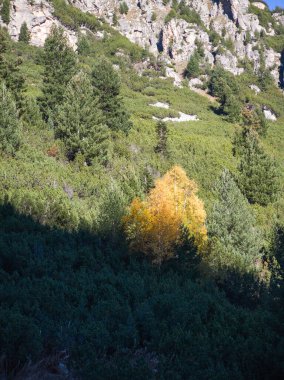 Amazing Autumn Landscape of Rila Mountain near Malyovitsa peak, Bulgaria