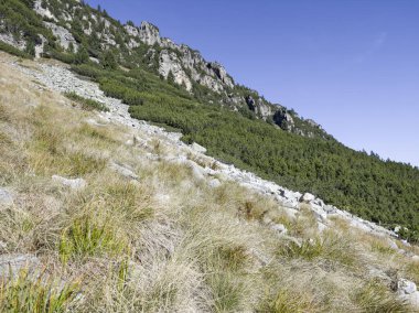 Amazing Autumn Landscape of Rila Mountain near Malyovitsa peak, Bulgaria