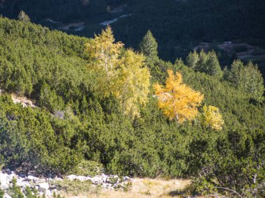 Amazing Autumn Landscape of Rila Mountain near Malyovitsa peak, Bulgaria