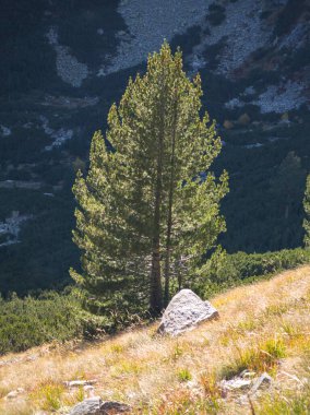 Amazing Autumn Landscape of Rila Mountain near Malyovitsa peak, Bulgaria