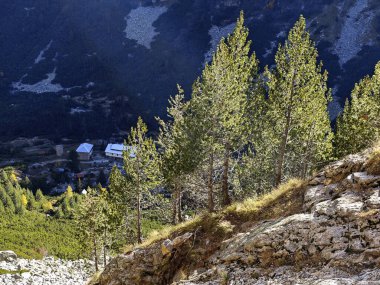 Amazing Autumn Landscape of Rila Mountain near Malyovitsa peak, Bulgaria