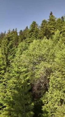 Bulgaristan 'ın Yedi Rila Gölü yakınlarındaki Rila Dağı' nın Şaşırtıcı Panoraması