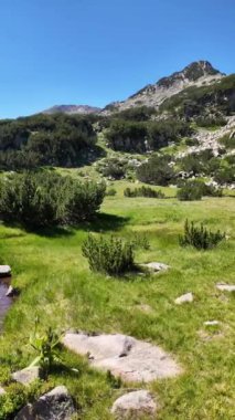 Bulgaristan 'ın Banderitsa Nehri yakınlarındaki Pirin Dağı' nın şaşırtıcı yaz manzarası