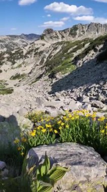 Bulgaristan 'ın Banderitsa Nehri yakınlarındaki Pirin Dağı' nın şaşırtıcı yaz manzarası