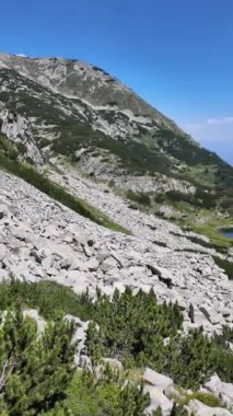 Bulgaristan 'ın Banderitsa Nehri yakınlarındaki Pirin Dağı' nın şaşırtıcı yaz manzarası