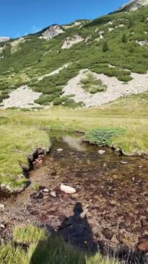 Bulgaristan 'ın Banderitsa Nehri yakınlarındaki Pirin Dağı' nın şaşırtıcı yaz manzarası