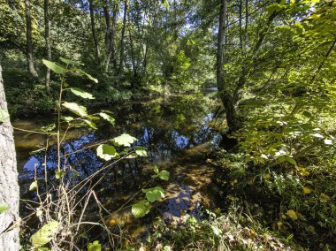 Sonbahar manzara Iskar Nehri yakınındaki Pancharevo Gölü, Sofya şehir bölge, Bulgaristan