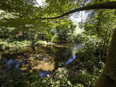 Sonbahar manzara Iskar Nehri yakınındaki Pancharevo Gölü, Sofya şehir bölge, Bulgaristan