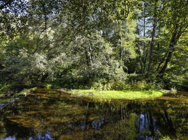 Sonbahar manzara Iskar Nehri yakınındaki Pancharevo Gölü, Sofya şehir bölge, Bulgaristan