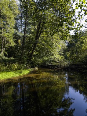 Sonbahar manzara Iskar Nehri yakınındaki Pancharevo Gölü, Sofya şehir bölge, Bulgaristan