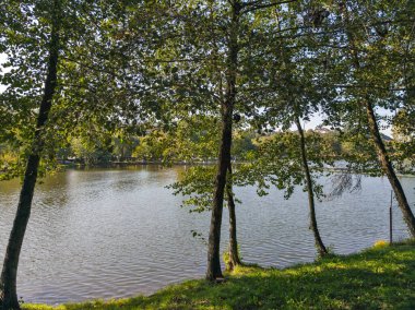 Sonbahar manzara Iskar Nehri yakınındaki Pancharevo Gölü, Sofya şehir bölge, Bulgaristan