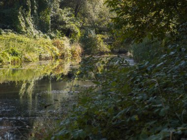 Sonbahar manzara Iskar Nehri yakınındaki Pancharevo Gölü, Sofya şehir bölge, Bulgaristan