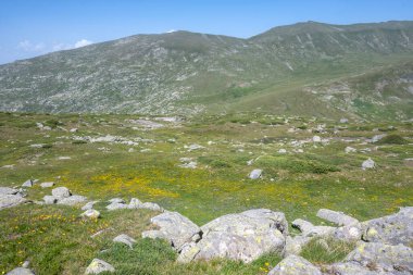 Bulgaristan 'ın Kalin zirvesi yakınlarındaki Rila Dağı' nın İnanılmaz Yaz Panoraması