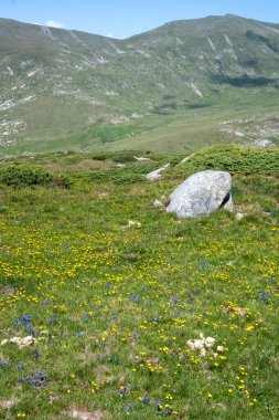Bulgaristan 'ın Kalin zirvesi yakınlarındaki Rila Dağı' nın İnanılmaz Yaz Panoraması