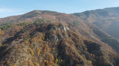 Bulgaristan 'ın Chepelarska Nehri (Chaya) etrafındaki Rodop Dağları' nın sonbahar havası manzarası