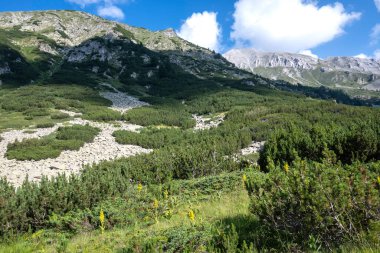 Amazing Summer view of Pirin Mountain around Banderitsa River, Bulgaria