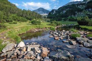 Amazing Summer view of Pirin Mountain around Banderitsa River, Bulgaria