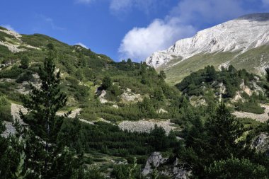 Amazing Summer view of Pirin Mountain around Banderitsa River, Bulgaria