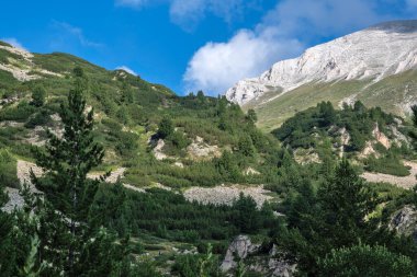 Amazing Summer view of Pirin Mountain around Banderitsa River, Bulgaria clipart