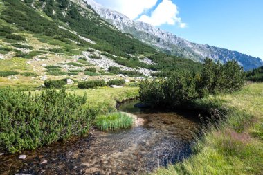Amazing Summer view of Pirin Mountain around Banderitsa River, Bulgaria