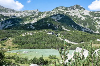 Amazing Summer view of Pirin Mountain around Banderitsa River, Bulgaria