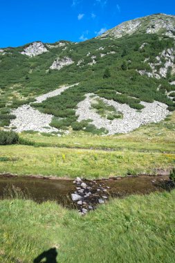 Amazing Summer view of Pirin Mountain around Banderitsa River, Bulgaria