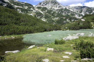 Amazing Summer view of Pirin Mountain around Banderitsa River, Bulgaria