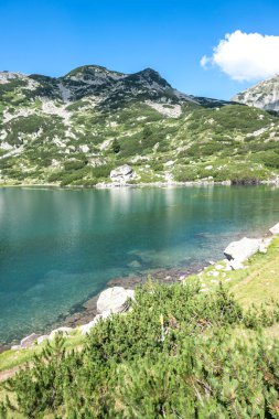 Amazing Summer view of Pirin Mountain around Banderitsa River, Bulgaria