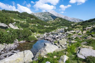 Amazing Summer view of Pirin Mountain around Banderitsa River, Bulgaria